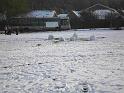 Snowy_Weather_Feb_09 (24)